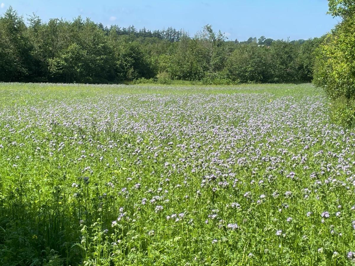 Korsholt-Natur B-B Sindal Dış mekan fotoğraf